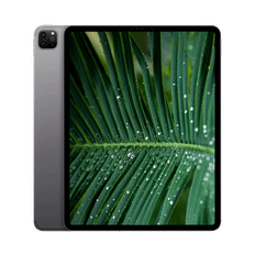 iPad Pro 6.Gen (2022) 12.9" WiFi