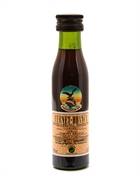 Fernet Branca Miniature Italiensk Bitter 2 cl 39%