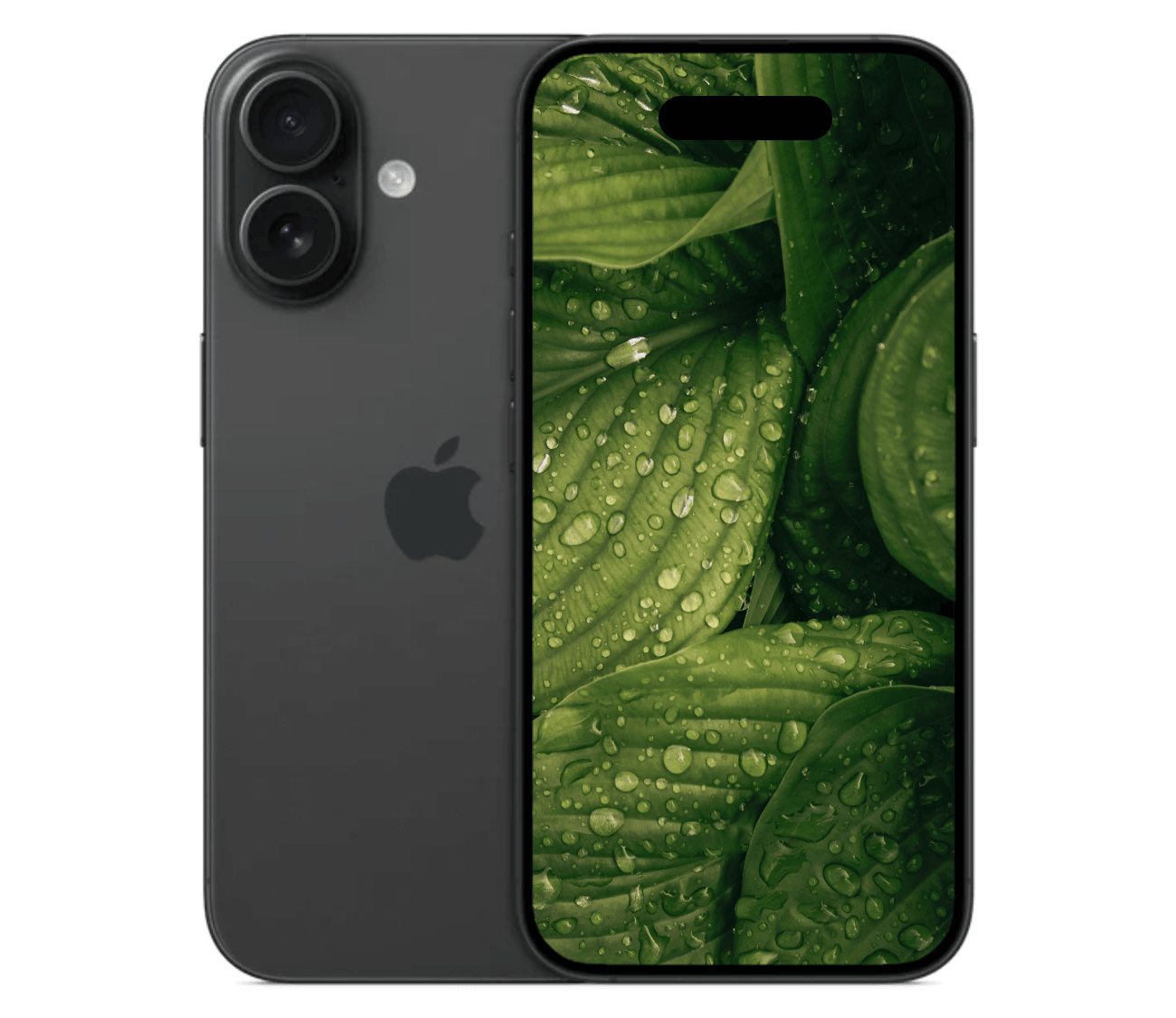 iPhone 16