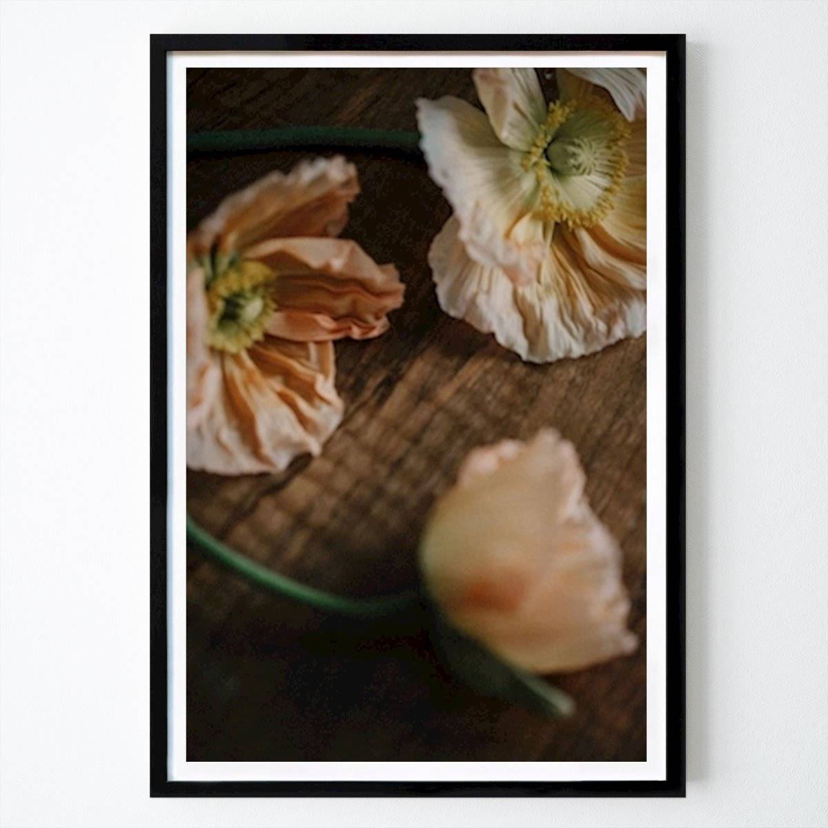 Papaver - Poster av Evelina Lind - Botanisk