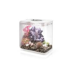 biOrb FLOW 15 LED