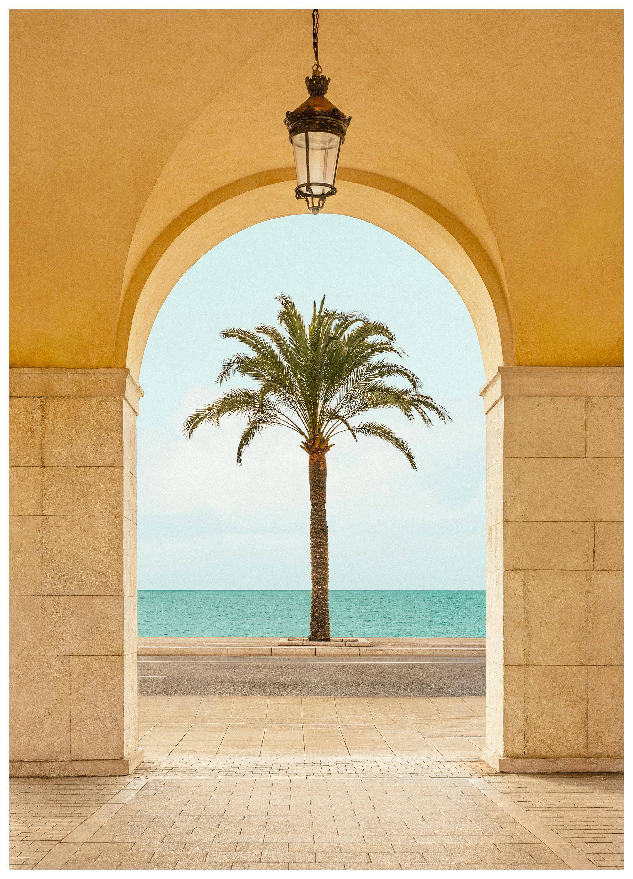 Palm Portal Poster (100x150 cm)