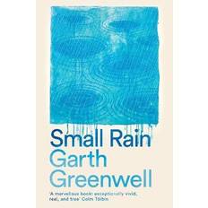 Small Rain