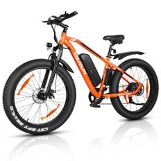 VARUN E Bike, 26 Zoll E-Bike Fatbike mit 4.0 Zoll Reifen, 250W Motor (55Nm) 48V13Ah Akku, 5 Fahrstufen, 100-120 km Reichweite E-Mountainbike für Herren Damen mit LCD-Display