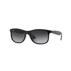 Ray-Ban sunglasses ANDY RB 4202