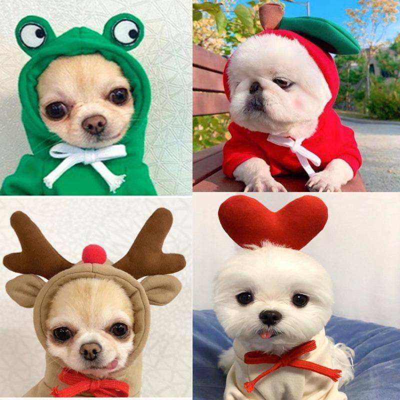 Hundkläder Förvandlas till Hund- och Kattkläder Små och Medelstora Hundar Höst och Vinter Husdjur Teddyhund Slåsskatt Kläder