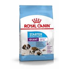 Royal Canin Giant Starter 15kg