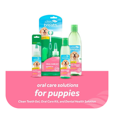 Tropiclean Puppy Oral Care Clean Teeth Gel 59 ml