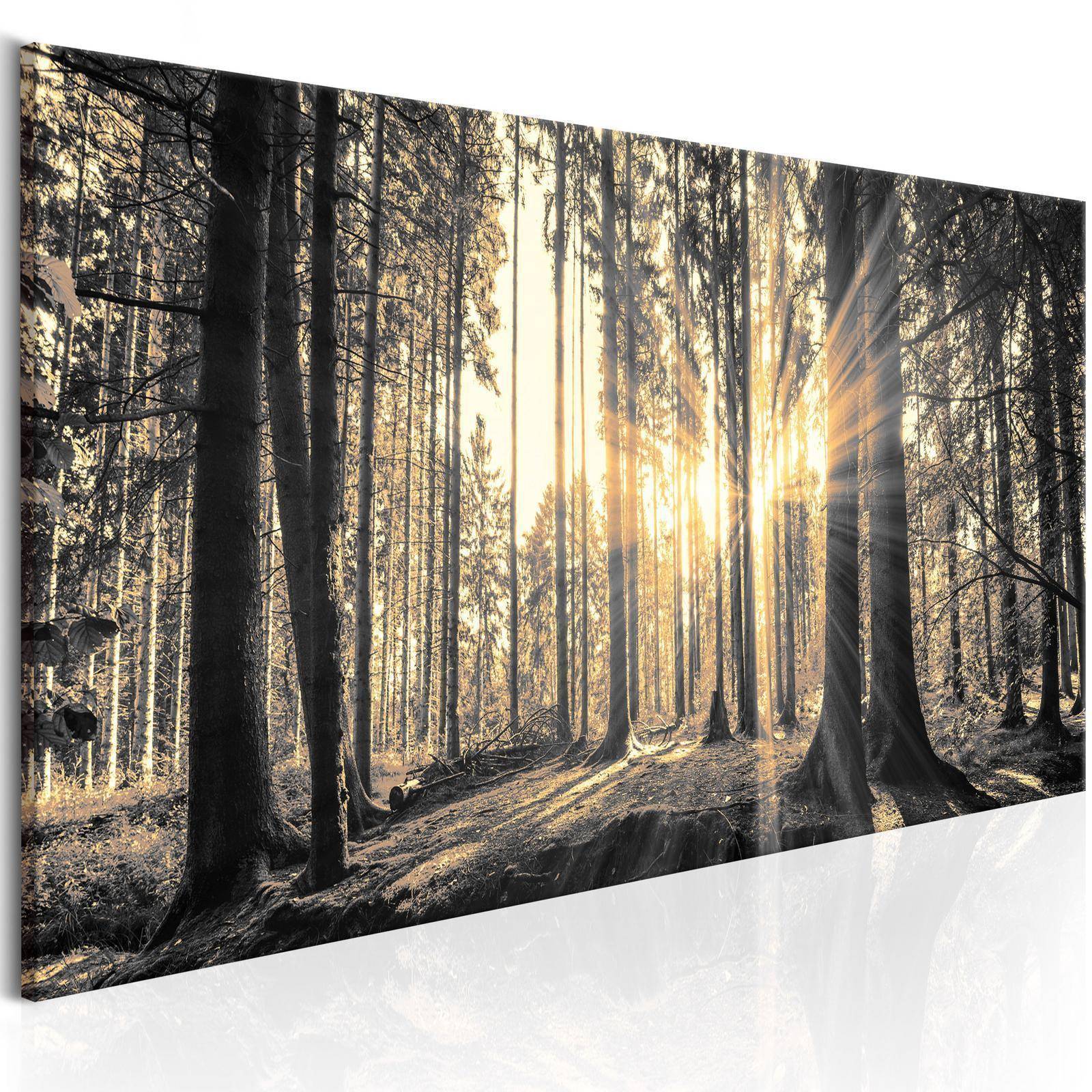 Tavla - Forest Sun - I en ram av naturligt trä 120x40