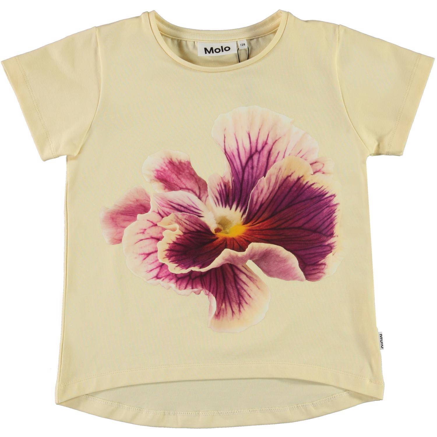 Molo T-Shirt SS, Risha/One Pansy 110