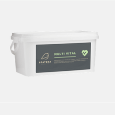 Statera Multi Vital 300g