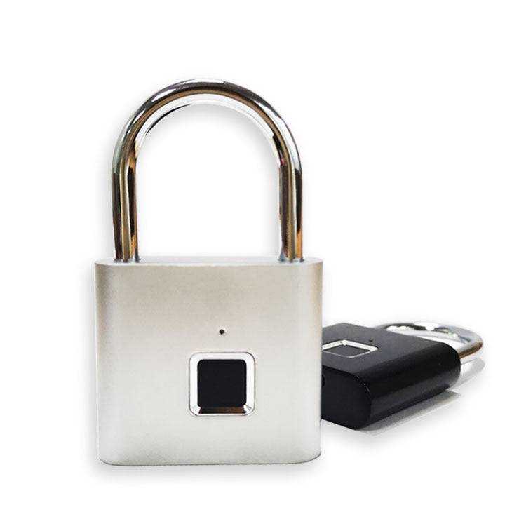 Fingerprint Electronic Lock - Silvery