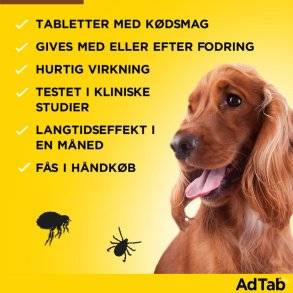 AdTab Hund 900mg 22-45kg