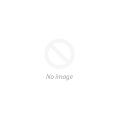Shelly Sports Bra – Sort – L – fra EYDA