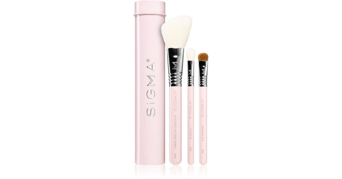 Sigma Beauty Essential borstset med fodral