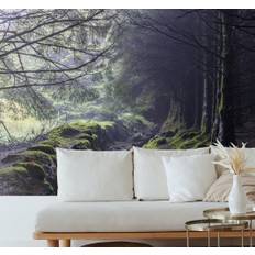 Mörk skog irland skog fototapet tapet