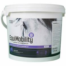 EquiMobility 100 dage
