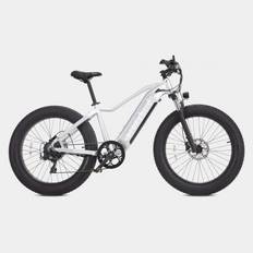 Elcykel Crazybird Jumper CB60 (Silver, High-Step, 750W)