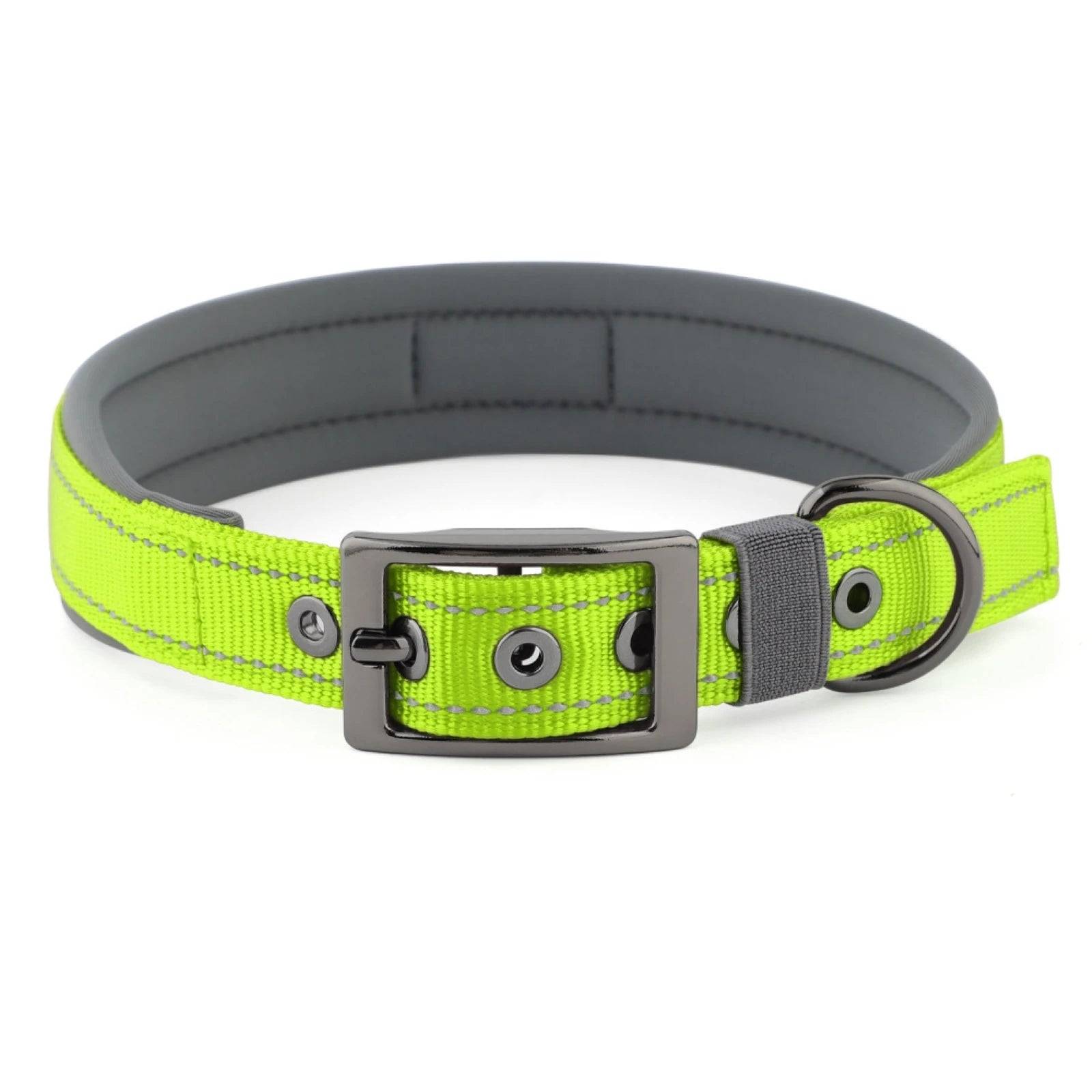 Neoprene Padded Reflective Dog Collar with Metal Buckle - Lime Green / XL / SP (XL)
