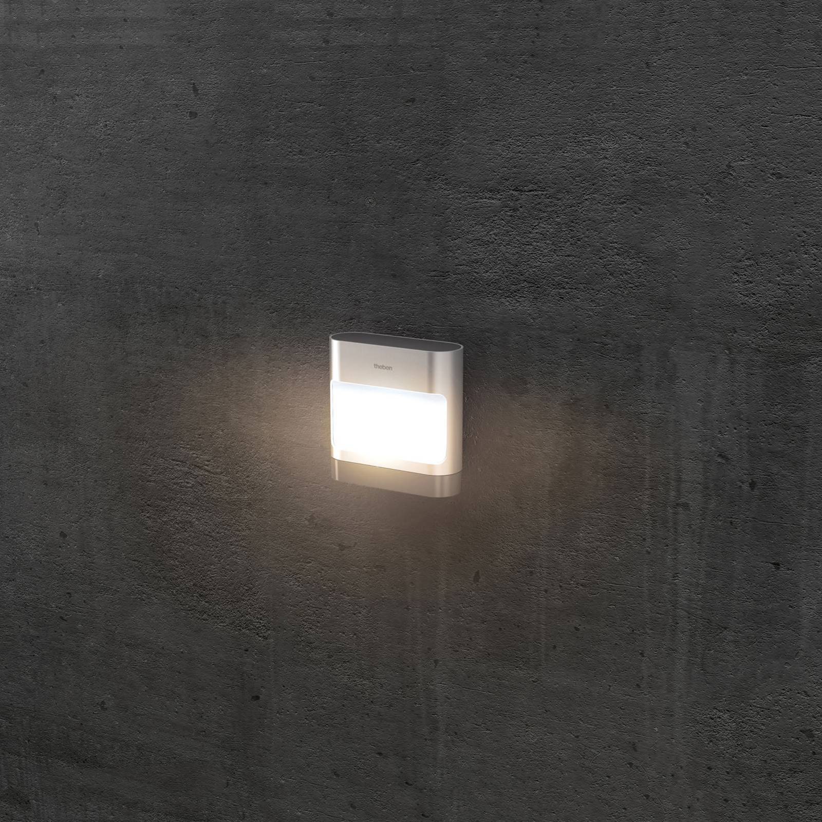 Theben LED utomhus vägglampa theLeda D SL AL, Aluminium / grå / zink, Aluminium / grå / zink, Modern, LED-vägglampa utomhus