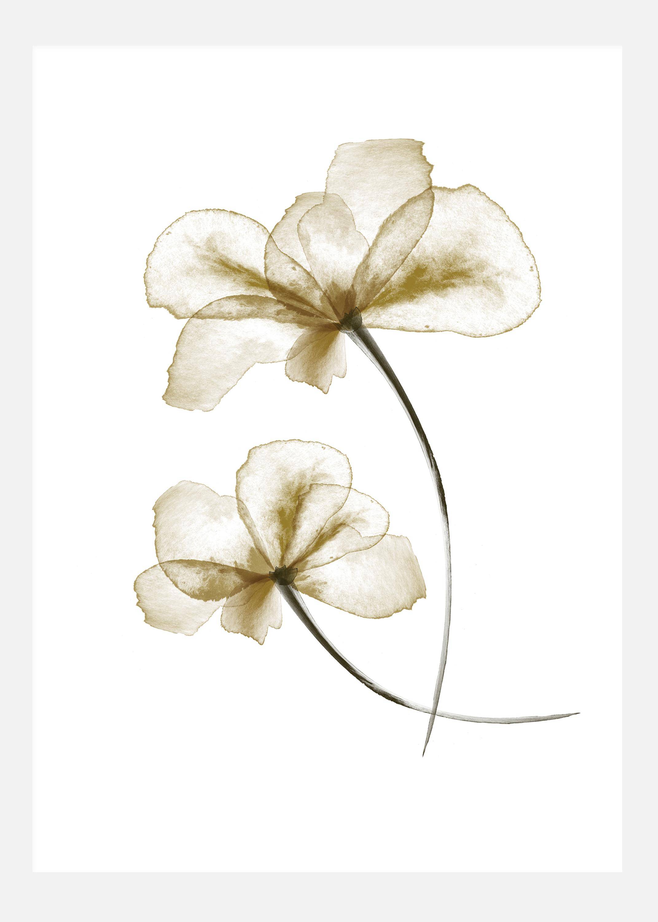 Pressed Flowers Canvastavla (100x140 cm)