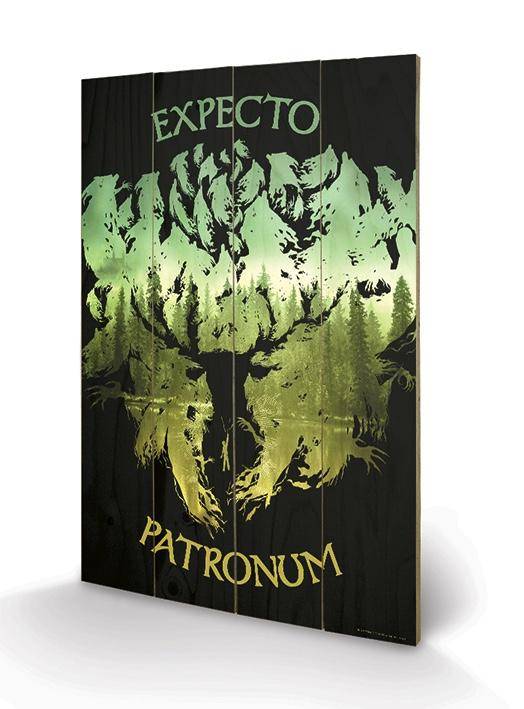 Harry Potter - Impression Sur Bois 40X59 - Expecto Patronum