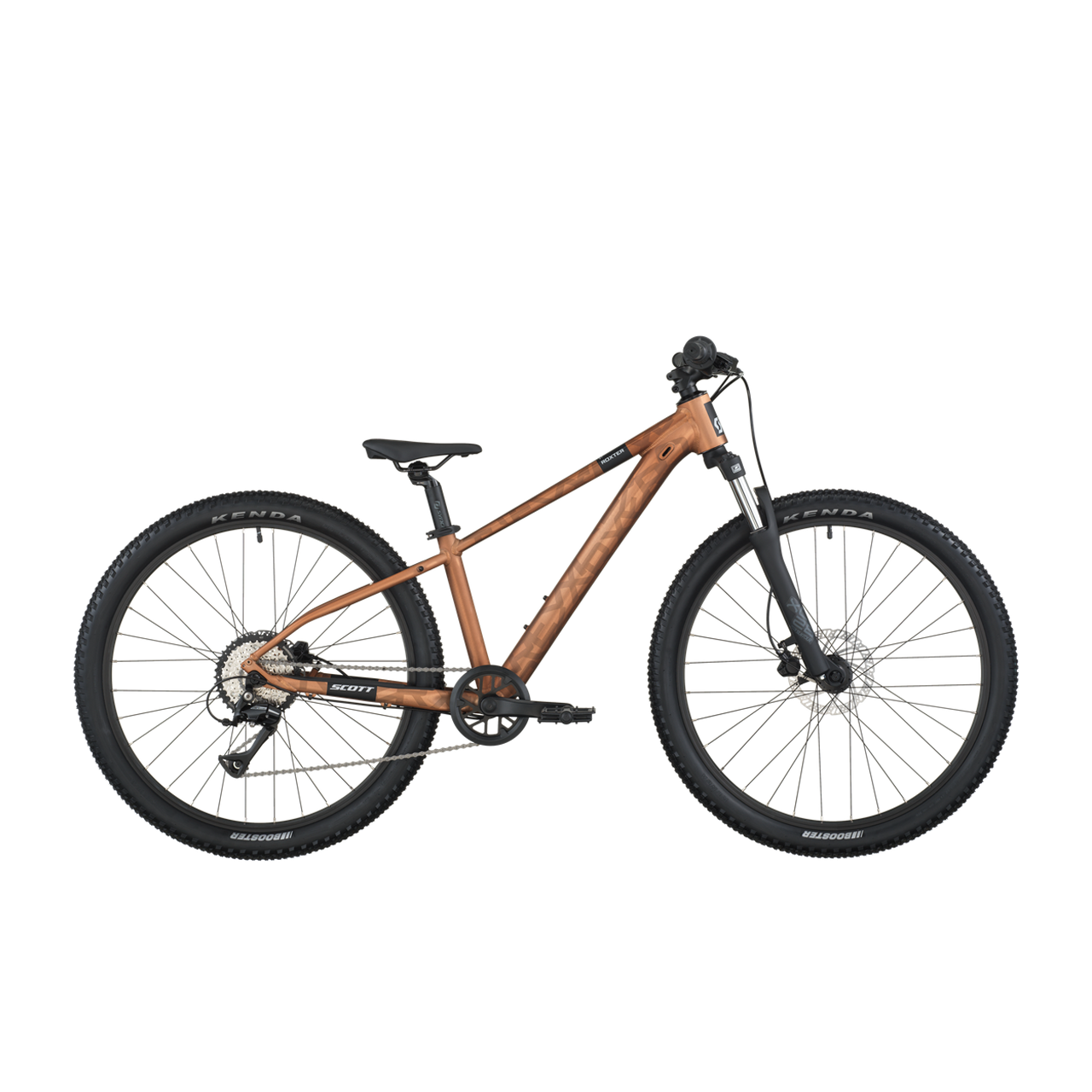 Scott Roxter 600 - Brun