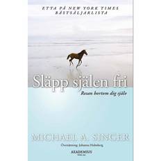 Bok Släpp själen fri - Michel A. Singer