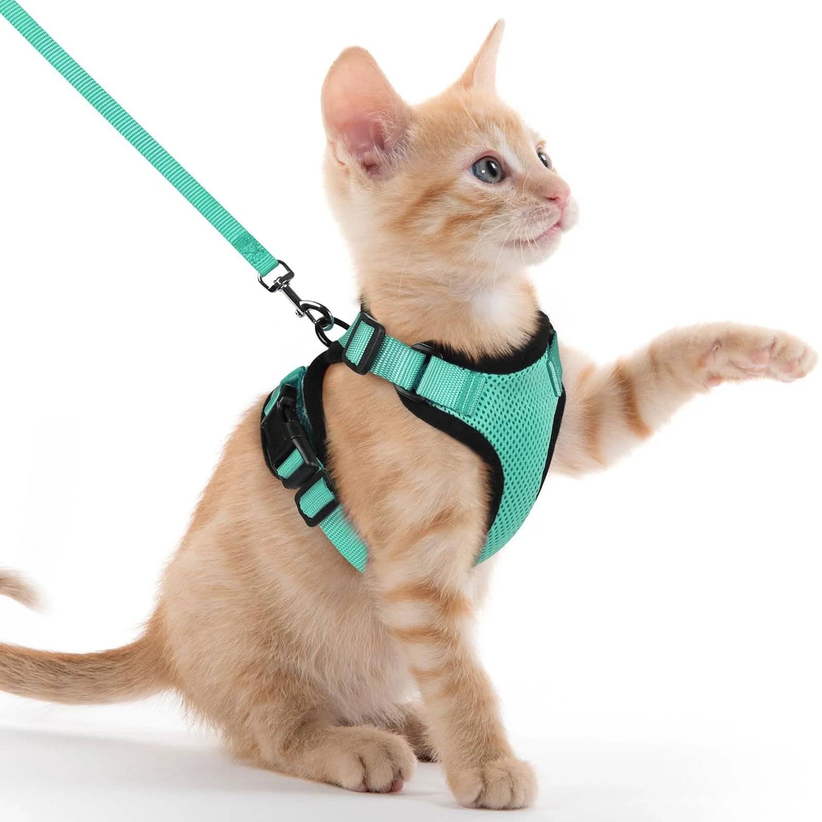 Escape-Proof Cat Harness & Lead Set — Adjustable Reflective Mesh Vest for Cats & Small Dogs - Green / XS (XS)
