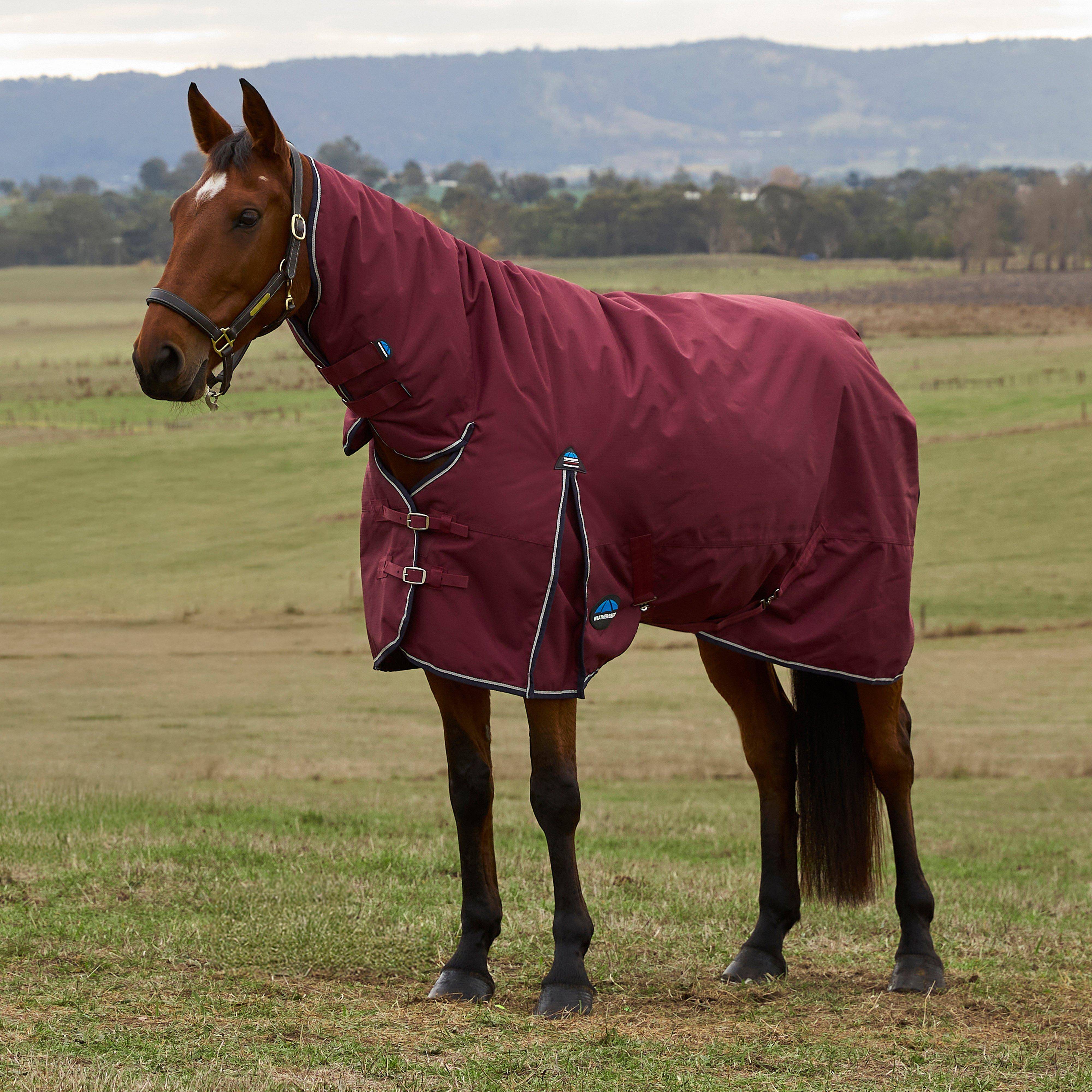 WeatherBeeta ComFiTec Prelim 0G Combo Neck Turnout Rug Burgundy, Burgundy - 5'6