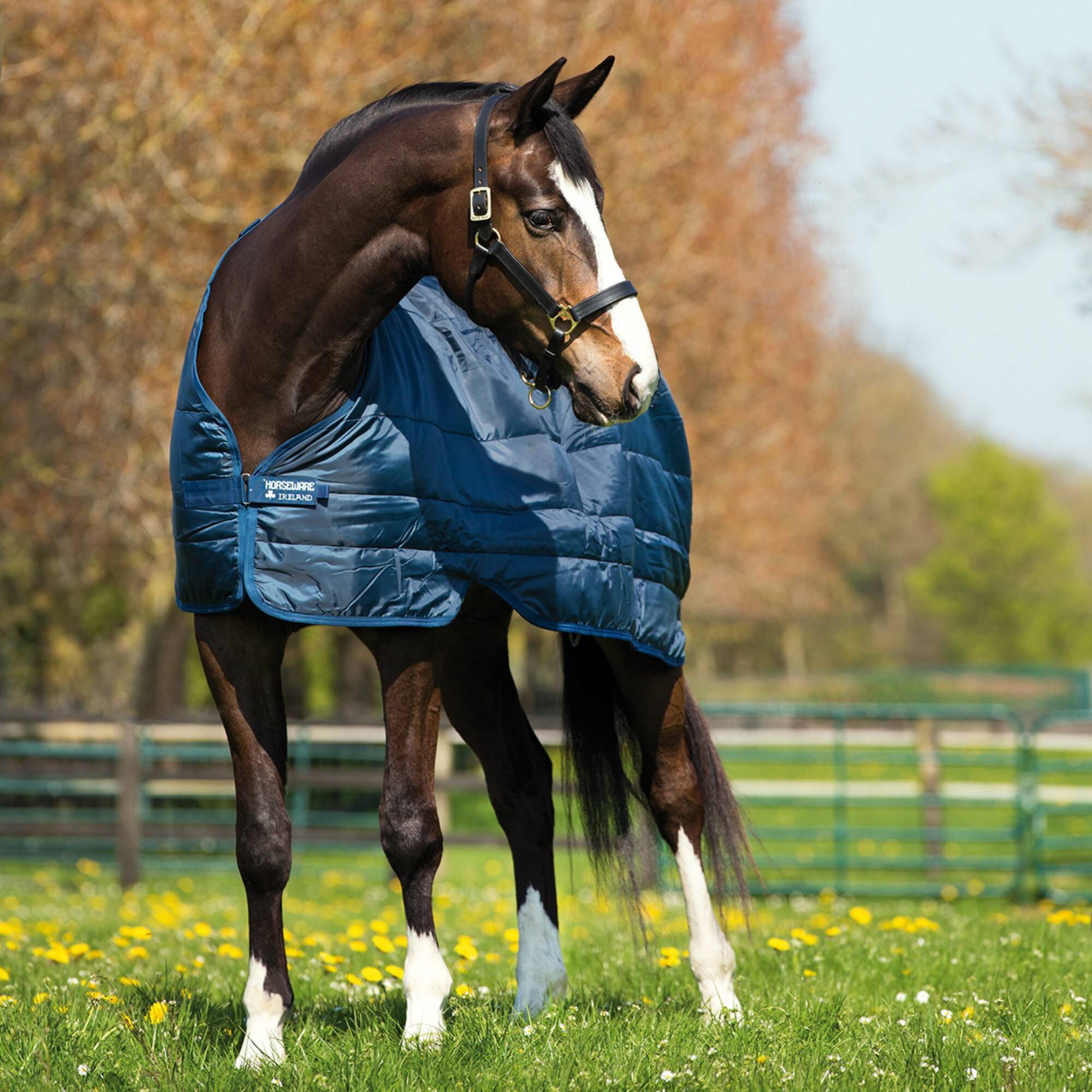 Horseware Liner 200g - Marin, Horseware