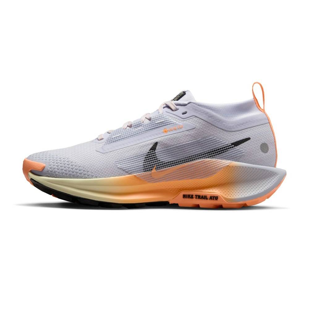Nike Pegasus Trail 5 GTX Dam