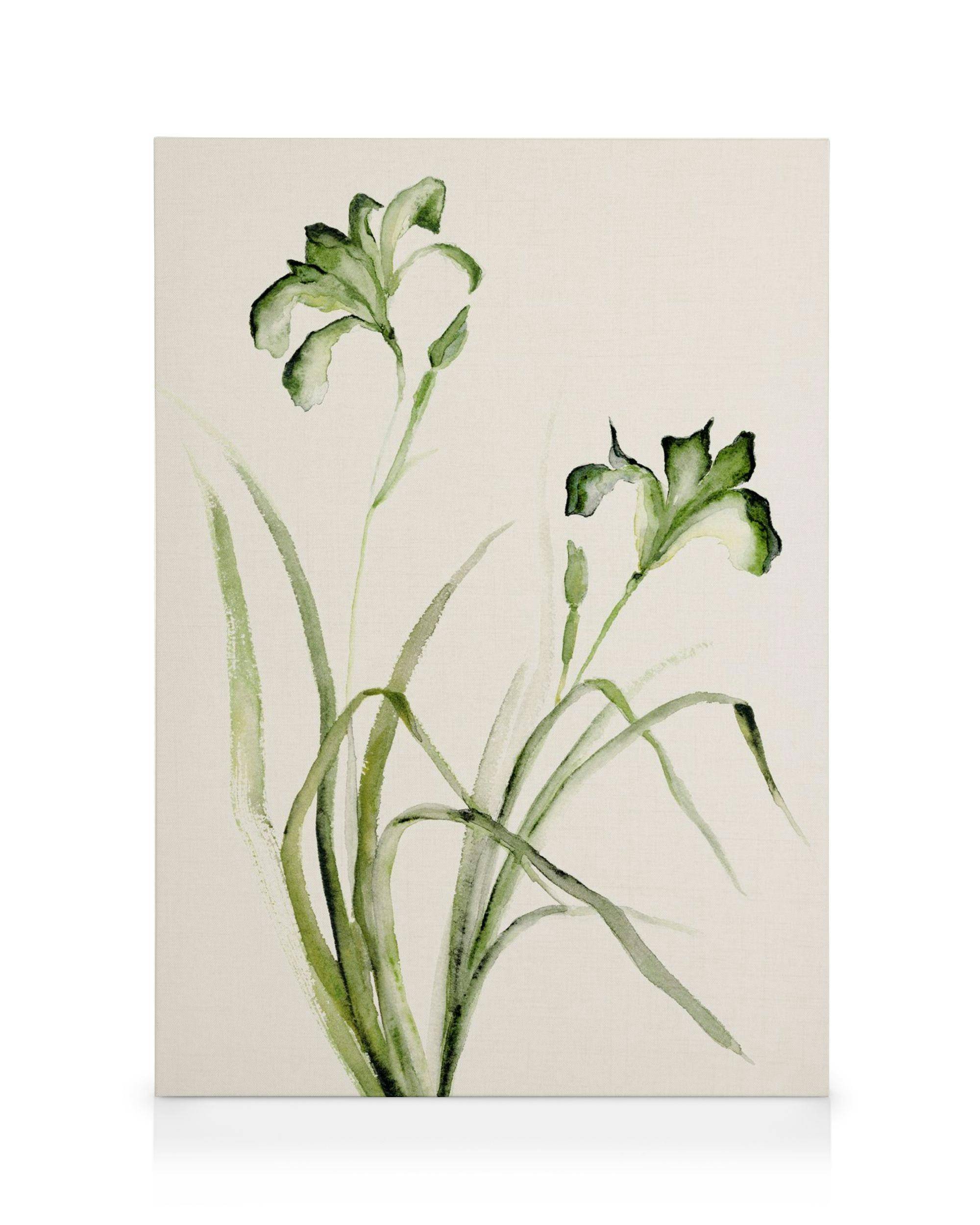 Canvastavlor Watercolor Irises Canvastavla (50x70 cm - Ekram)