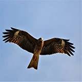 Pussel för vuxna 3000 bitar pussel för vuxna 3000 bitar pussel 3000 bitar Flying eagle pussel 3000 bitar-3000 bitar(87x110cm)(34,25x43,31tum)