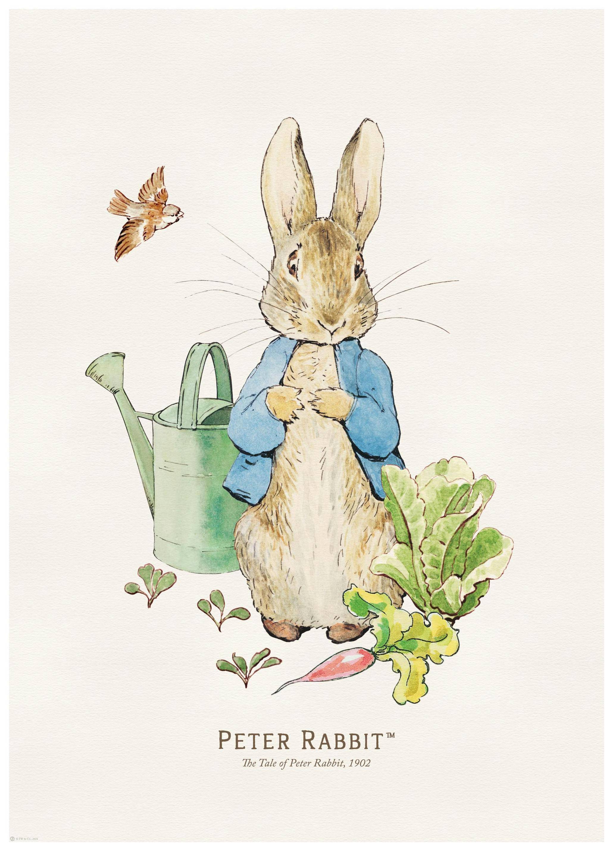 Peter Rabbit Illustration Poster (21x30 cm)