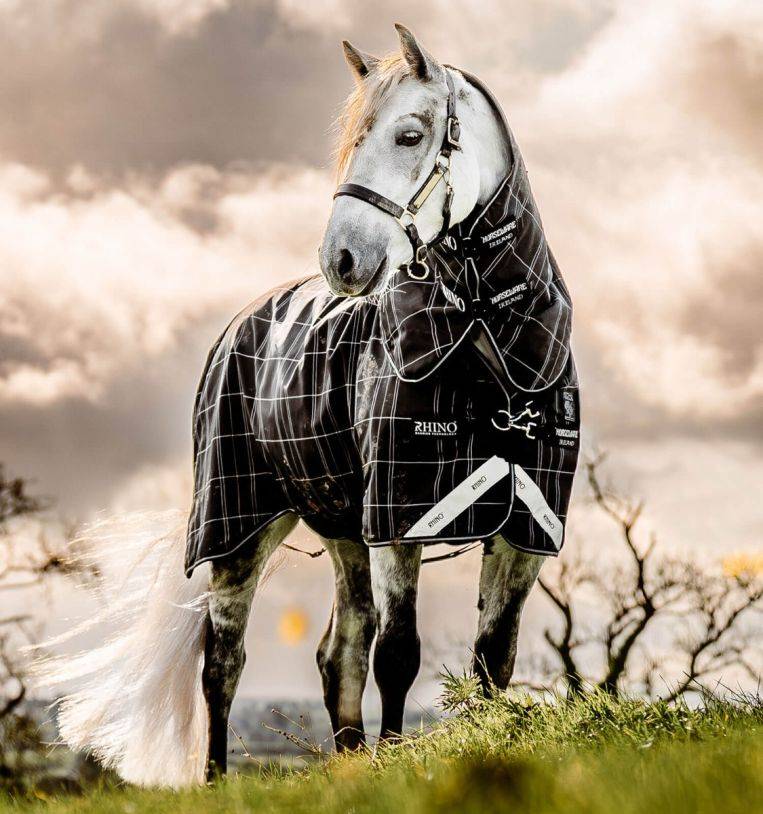 RHINO PONY PLUS TURNOUT BUNDLE (0G+200G) UTGÅENDE