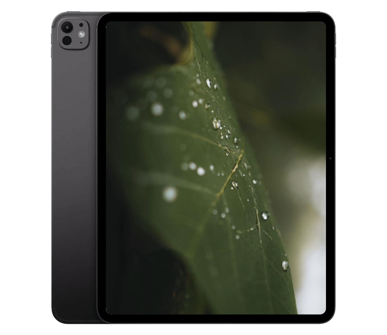 iPad Pro (2024) 13" WiFi