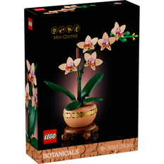 MINI ORKIDÉ 10343