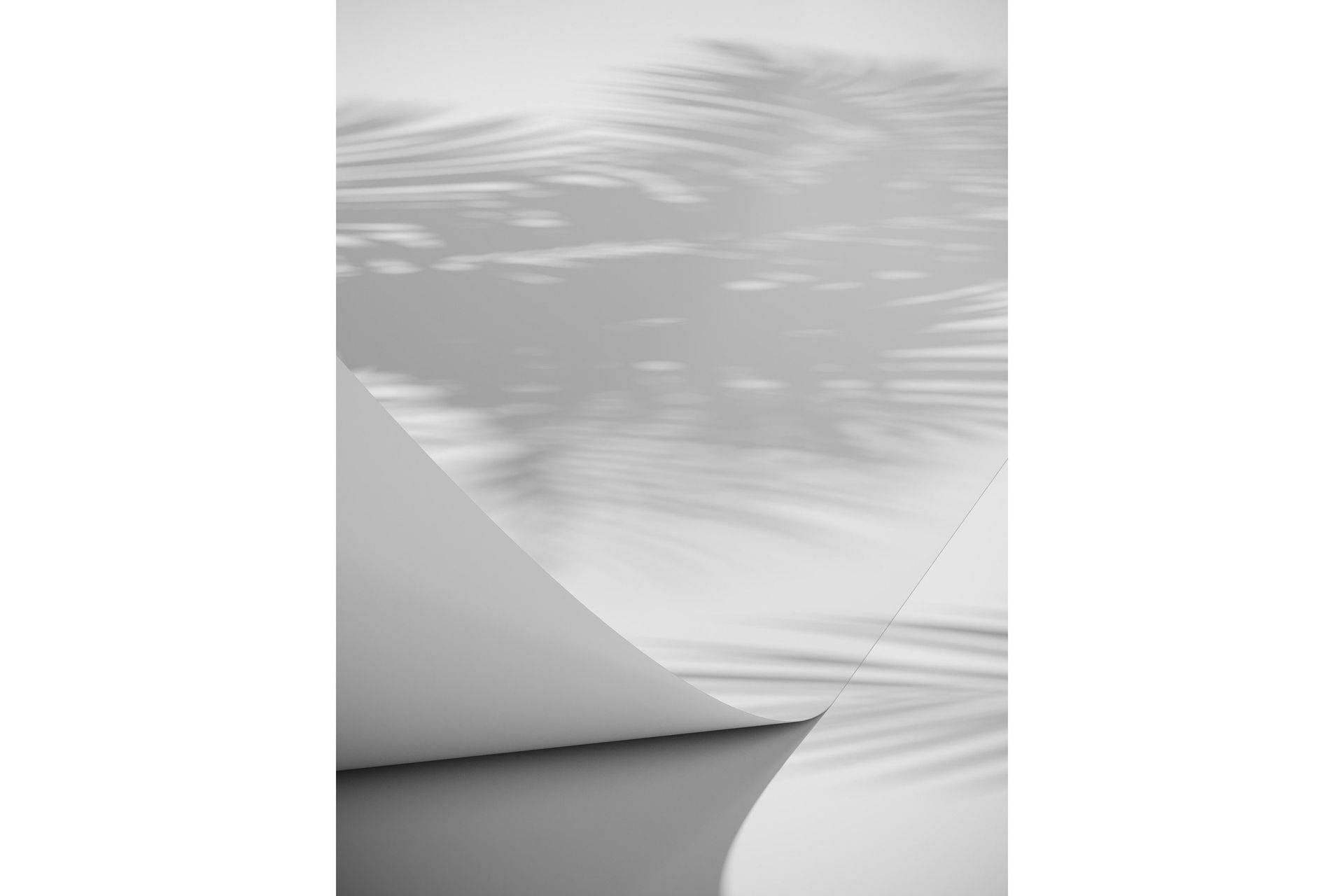 Venture Home Poster Papyrus 70x100 cm - Vit Posters & prints