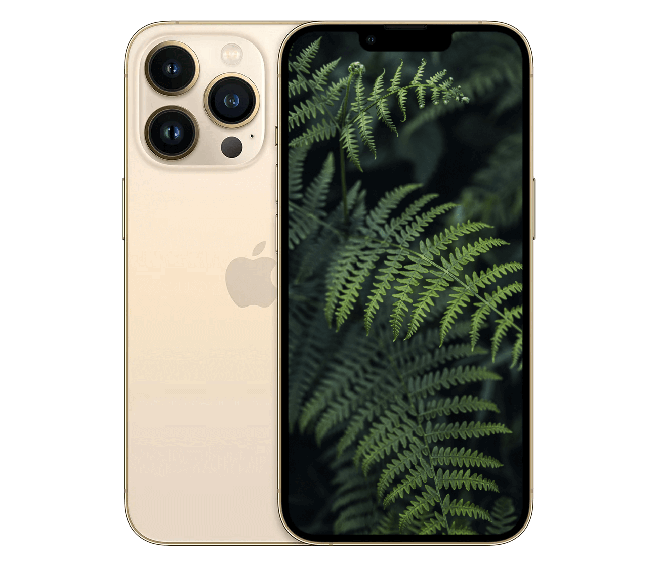 iPhone 13 Pro