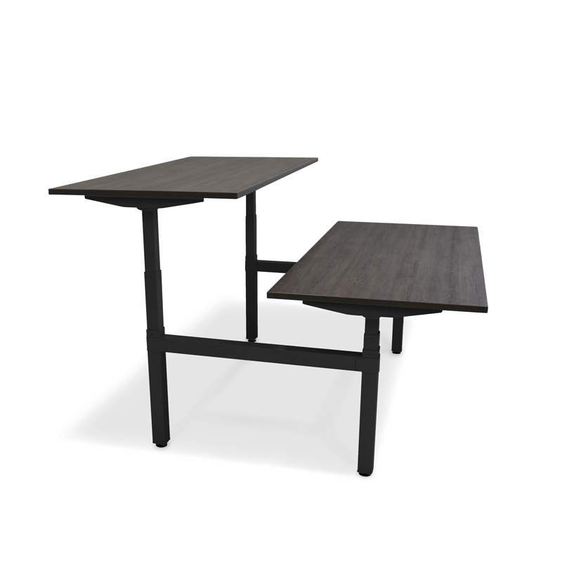 RoomForTheNew Duo Sit-Stand Desk