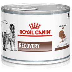 Royal Canin Vet. Gastro Recovery Mousse 195g