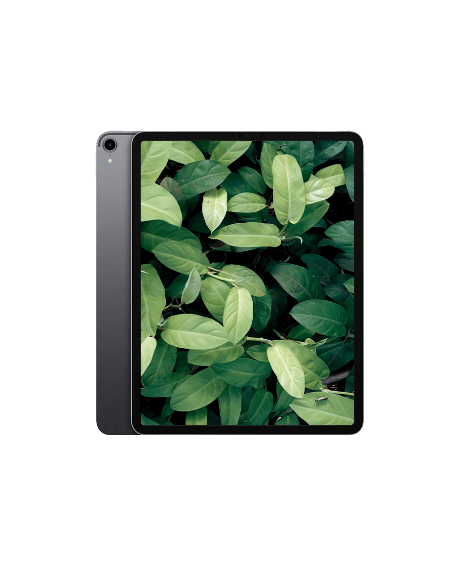 iPad Pro 3 (2018) 12.9" Wi-Fi + 4G Rymdgrå / 512GB / Nyskick