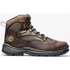 Timberland Chocorua Mid Waterproof - Vandringsskor - Herr Medium Brown 47.5