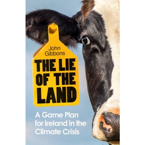 The Lie of the Land (häftad, eng)
