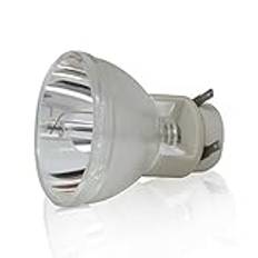 Ersättningsprojektorlampa Kompatibel W1070 W1070 + W1080 W1080St HT1085St HT1075 W1300 Projektorlampa Lampa 240/0,8 E20.9N Fit för Benq 5J.J7L05.001 Projektorlampa