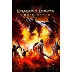 Dragon's Dogma: Dark Arisen Steam (Digital download)