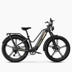 Elcykel Fiido Titan Cargo (Nej)