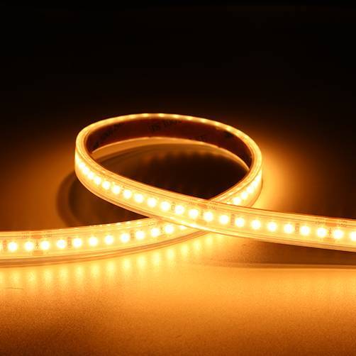 P-Cell 10M Strip 24V IP65 9,6W/922 864lm/m b:10mm klip:50mm