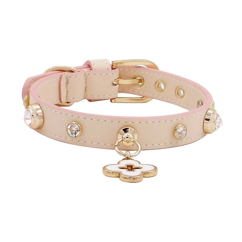 Rhinestone Genuine Leather Dog & Cat Collar - Off-white / XS 1.3x20-26cm (XS 1.3x20-26cm)